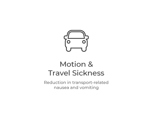 Motion and Travel Sickness Icon